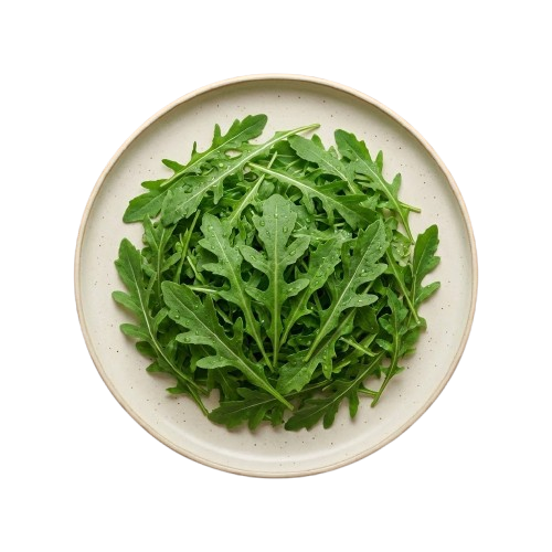 Fresh microgreens plate